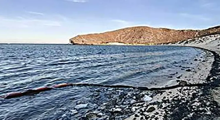 Piden comparecencia de  Semarnat, Profepa y Conanp ante desastre ambiental en playa balandra