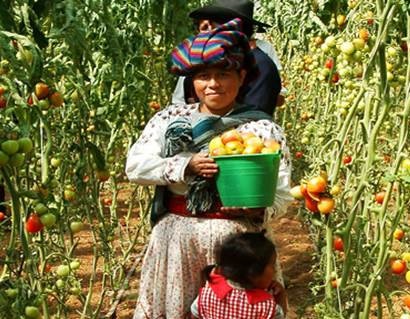 Urgen a respaldar a mujeres del campo