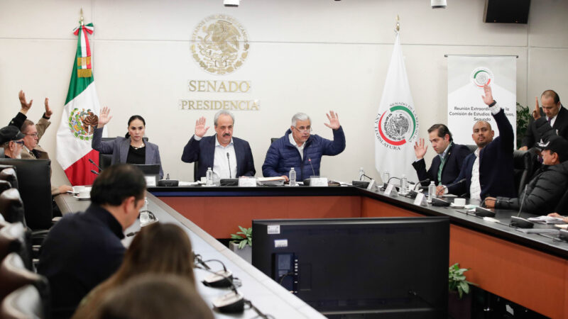 En comisión del Senado aprobaron los dictámenes que incluyen modificaciones a la reforma electoral