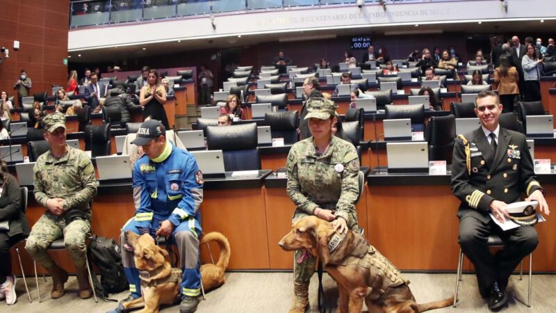 Rindieron homenaje a rescatista canina “Frida”