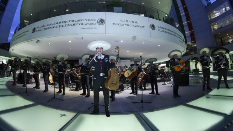  ¿AUSTERIDAD EN SERIO? EL SENADO PROMETE AHORRAR… PERO CON EXCEPCIONES, CLARO