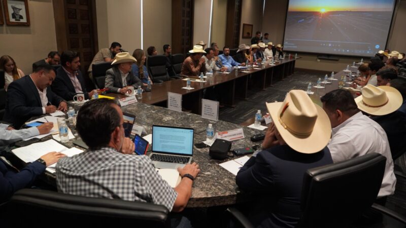 Instan a proteger la sanidad ganadera