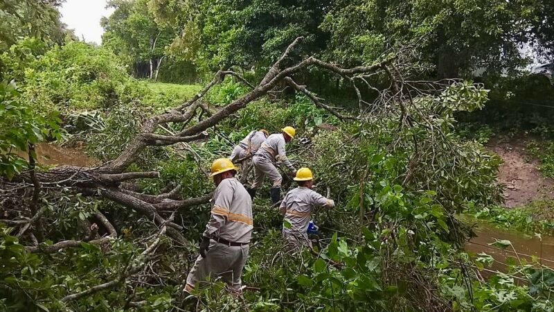 ¡Porque la Ley Aduanera No Espera! Mientras Ayudamos a los Damnificados, Reformas y Comparecencias al Rescate