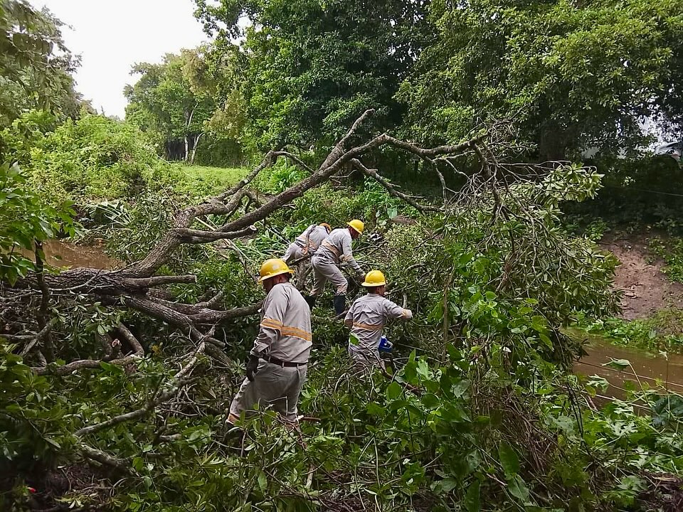¡Porque la Ley Aduanera No Espera! Mientras Ayudamos a los Damnificados, Reformas y Comparecencias al Rescate