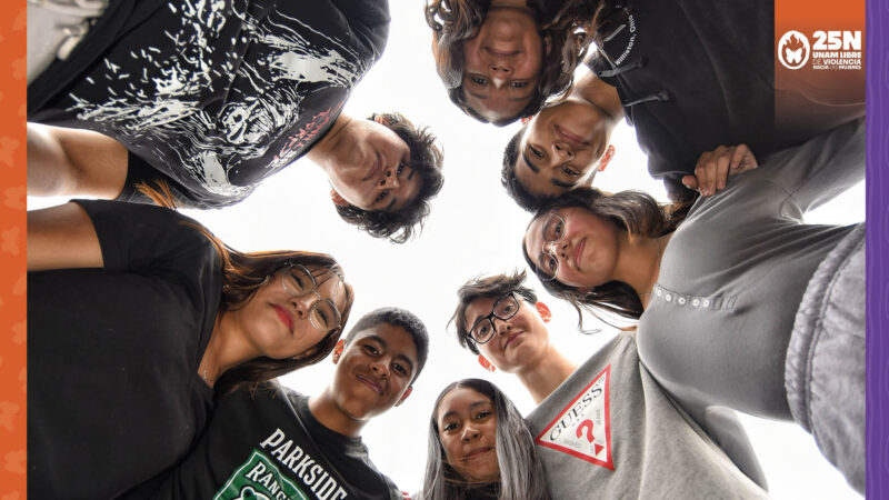 Estados obligados a publicar informes anuales con acciones contra la discriminación y violencia