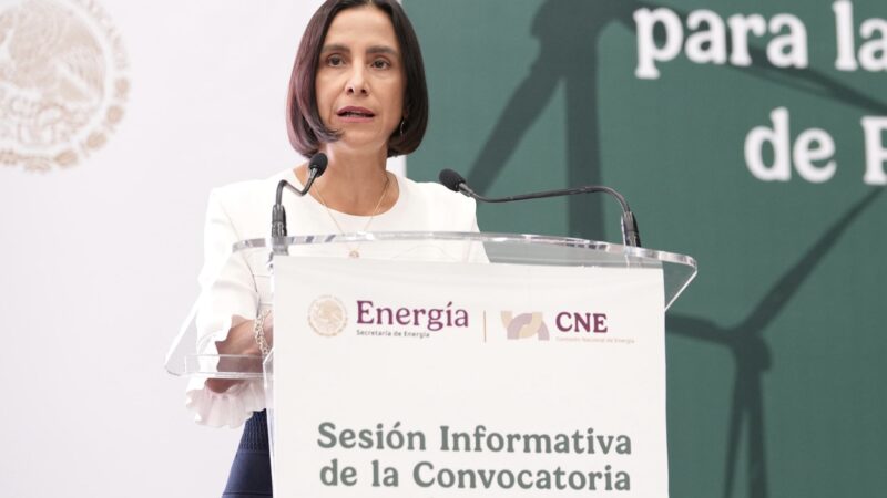 ¡Atención, sector energético! El Senado prepara otra emocionante mañana de discursos: comparecerá la secretaria de Energía