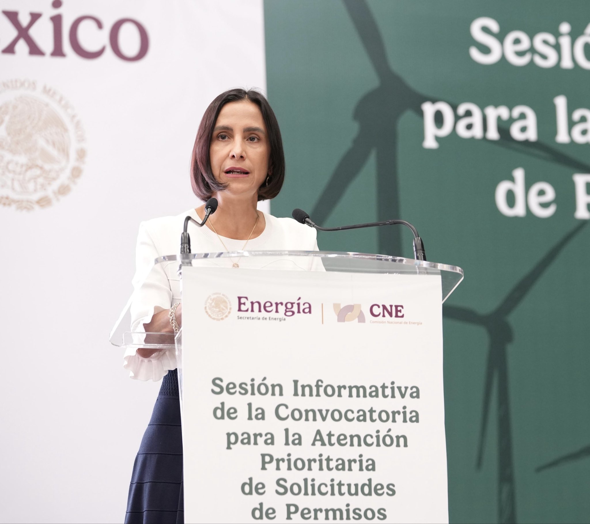 ¡Atención, sector energético! El Senado prepara otra emocionante mañana de discursos: comparecerá la secretaria de Energía