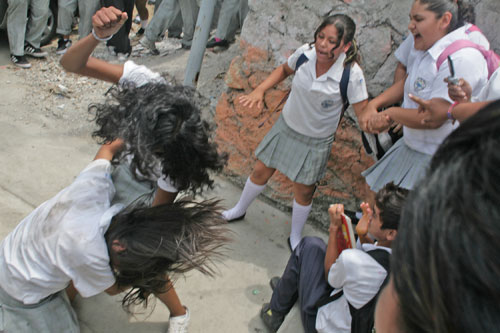 Avanza Reforma a la Ley del IMJUVE para Promover la «Cultura de la Paz»… Mientras los Jóvenes Siguen Siendo las Principales Víctimas de Violencia
