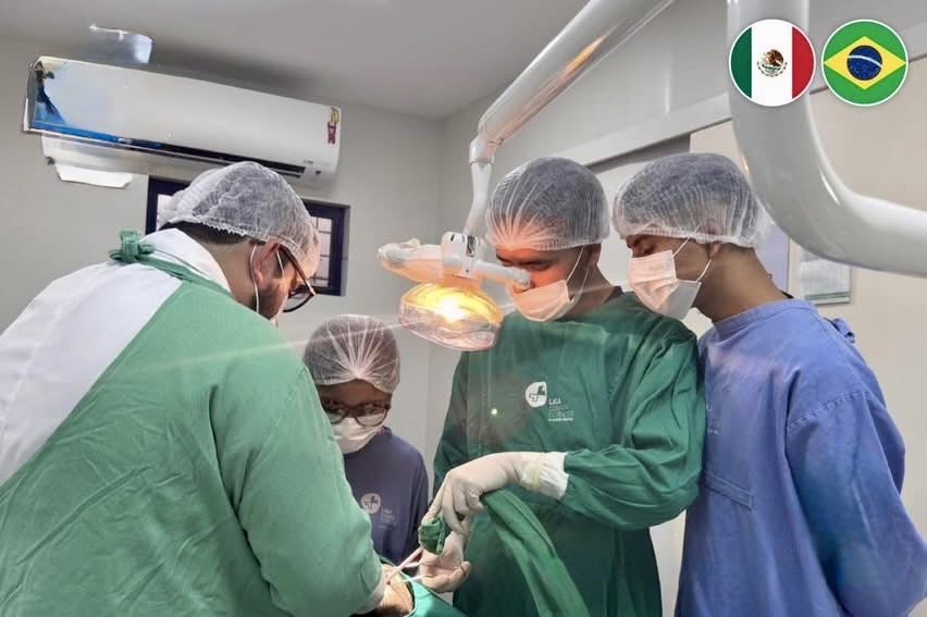 Talento CEUMH conquista Brasil: futuros cirujanos dentistas viven una experiencia que transforma vidas